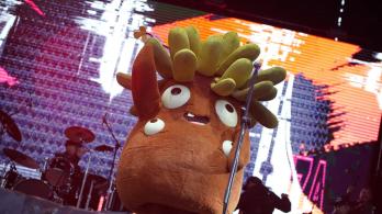 Frailejón Ernesto Pérez