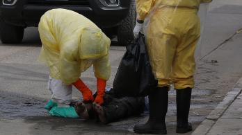 12 cuerpos hallados en bolsas en Bogotá