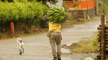 Gobierno radica proyecto de 'Jurisdicción Agraria' que establece una justicia especial para el campo colombiano