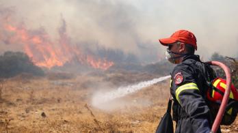 Grecia en atención a incendios forestales. / Foto: AFP.