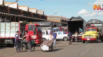 Pequeños transportadores