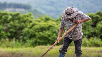 Economía colombiana en aumento 