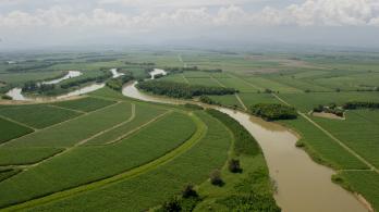 Acuerdo de paz en el norte del Cauca