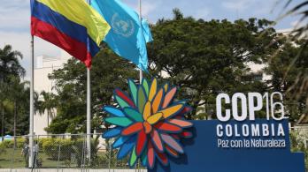 Cop16 y la capacidad hotelera en Cali. / Foto: Alcaldía de Cali.