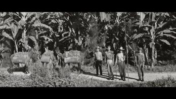 Foto Robada: la verdad detrás de la masacre de las bananeras, documental que podrás ver gratis en RTVCPlay