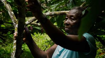 Un acercamiento a las comunidades indígenas de Colombia a través de la cámara de Brian Moser