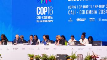 Presentación de planes de acción de biodiversidad en la COP16. / Foto: RTVC.