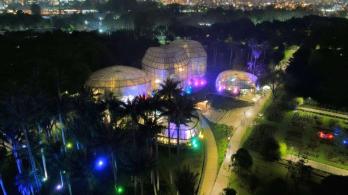 Alumbrados navideños: Jardín Botánico