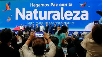 Logros ambientales del gobierno: biodiversidad y energía limpia 2024