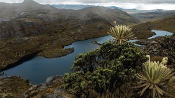 Páramo de Santurbán. / Foto: Carmen Villegas, ProColombia.