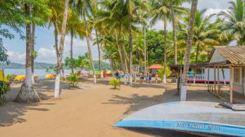 Colombia rompe récord en ingreso de divisas por turismo en 2024
