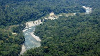 Incautan 49 toneladas de coltán extraídas ilegalmente en la selva colombiana: ¿por qué es tan valioso este mineral?