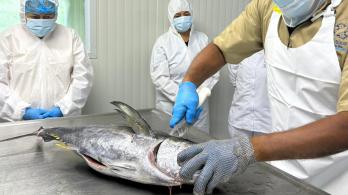 El Ministerio de Salud recuerda que consumir alimentos en mal estado o mal manipulados puede generar graves riesgos para la salud. / Foto: Invima Colombia.