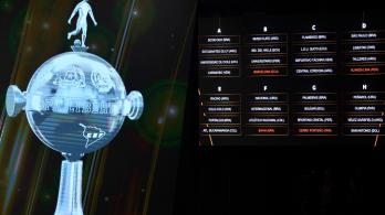Colombianos en la Copa Libertadores 2025. / Foto: AFP.