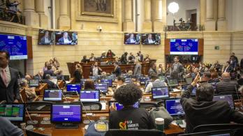 Tras la decisión sobre la apelación, el Senado deberá votar la convocatoria a la Consulta Popular. / 