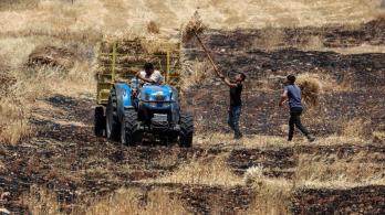 Granjeros palestinos cerca de al región de Khirbet Abu Falah, Cisjordania, donde hasta ahora no había presencia colonial. 
