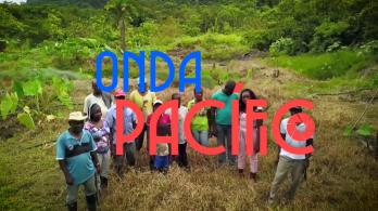Onda Pacífico