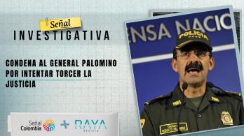 Condena a Palomino