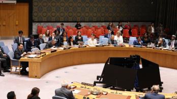 Consejo de Seguridad de la ONU.