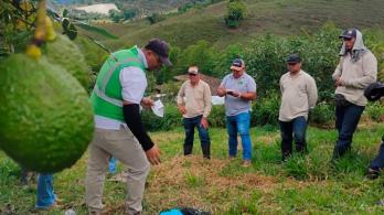 Colombia en más mercados internacionales. / Foto: ICA.