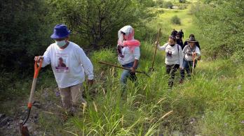 "Sin garantías no podíamos seguir": la ley que ampara a las mujeres buscadoras