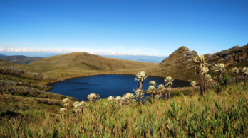 Laguna y frailejones en el Parque Nacional Natural Chingaza