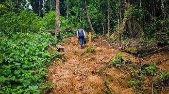 Petro ordena despliegue militar en el Darién
