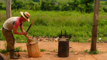 campesino cortando leña