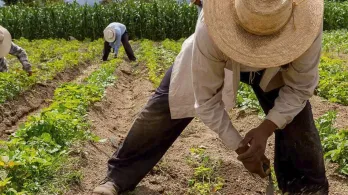 Jurisdicción Agraria sigue estancada en el Congreso