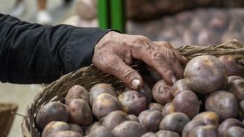 Inflación de noviembre desciende a 5,30% impulsada por caída en precios de alimentos