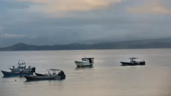 Primera denuncia formal ante organismo internacional por ejecuciones extrajudiciales en el Caribe