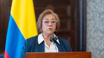 Canciller Rosa Villavicencio.
