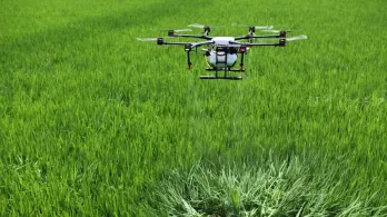 Gobierno autorizó erradicación focalizada de cultivos ilícitos con drones