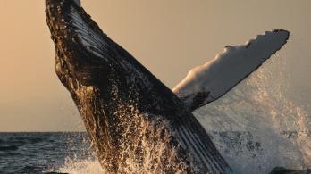 Turismo en Colombia. / Foto: Colombia Travel.