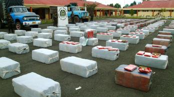 Incautan más de una tonelada de marihuana que iba rumbo a Ecuador.