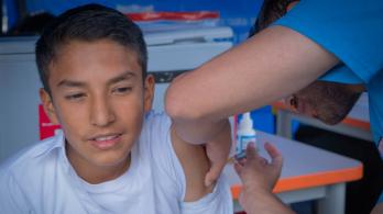 No viaje a zonas endémicas sin vacuna contra la fiebre amarilla.