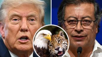 Presidente Petro hace propuesta a Trump. / Fotos: AFP y X Petro.