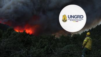 Incendios forestales en Argentina. / Foto: UNGRD y AFP.