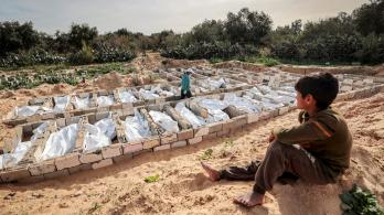 Encuesta independiente revela que las muertes por el genocidio en Gaza fueron más altas que las cifras oficiales
