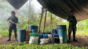 Colombia desarticula 827 de laboratorios de coca en frontera con Ecuador
