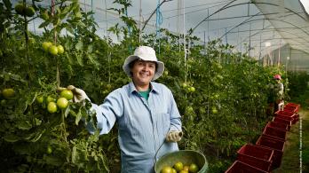 Pacto por el Crédito alcanza 89,6% de la meta y suma $228,1 billones desembolsados