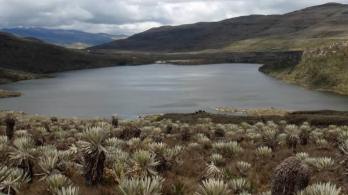 lago en el páramo de Sumapaz