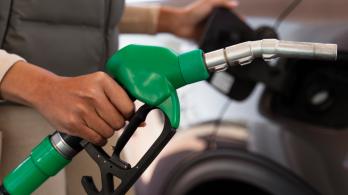 Precio de la gasolina. / Foto: Freepik.