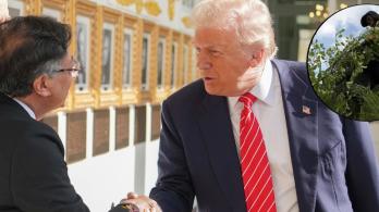 Petro propone a Trump erradicación manual de coca