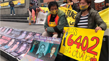 actividad de las madres de los falsos positivos, carteleras alusivas