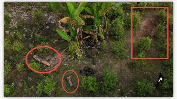 Bomba hallada en territorio colombiano habría rebotado desde Ecuador.