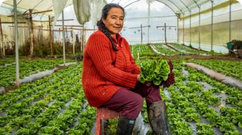 Incremento del presupuesto agropecuario llega a 139%