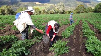 Gobierno pide acelerar la Jurisdicción Agraria ante la Corte Constitucional para resolver conflictos de tierras