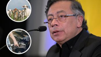 Petro sobre medidas de exportación de carne y gasolina. / Fotos: AFP, Radio Nacional y Freepik.
