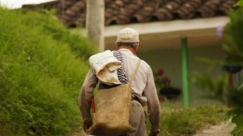 Tribunal Agrario. / Foto: Radio Nacional.